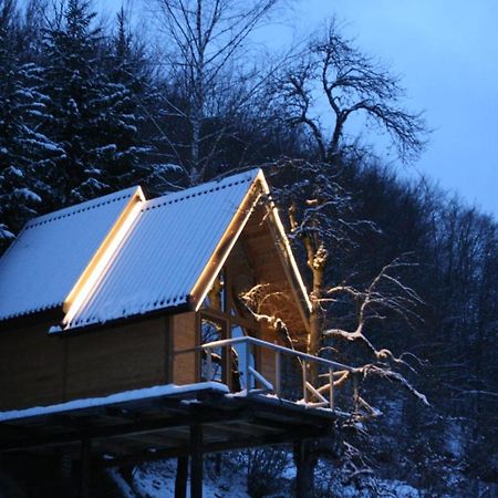 Tree House - Tara Place モイコヴァツ エクステリア 写真