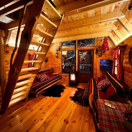 Tree House - Tara Place モイコヴァツ エクステリア 写真