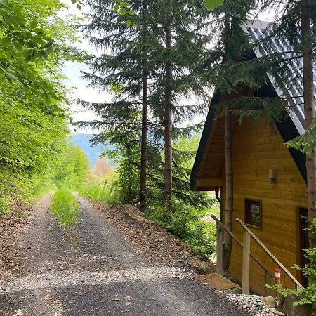 Tree House - Tara Place モイコヴァツ エクステリア 写真