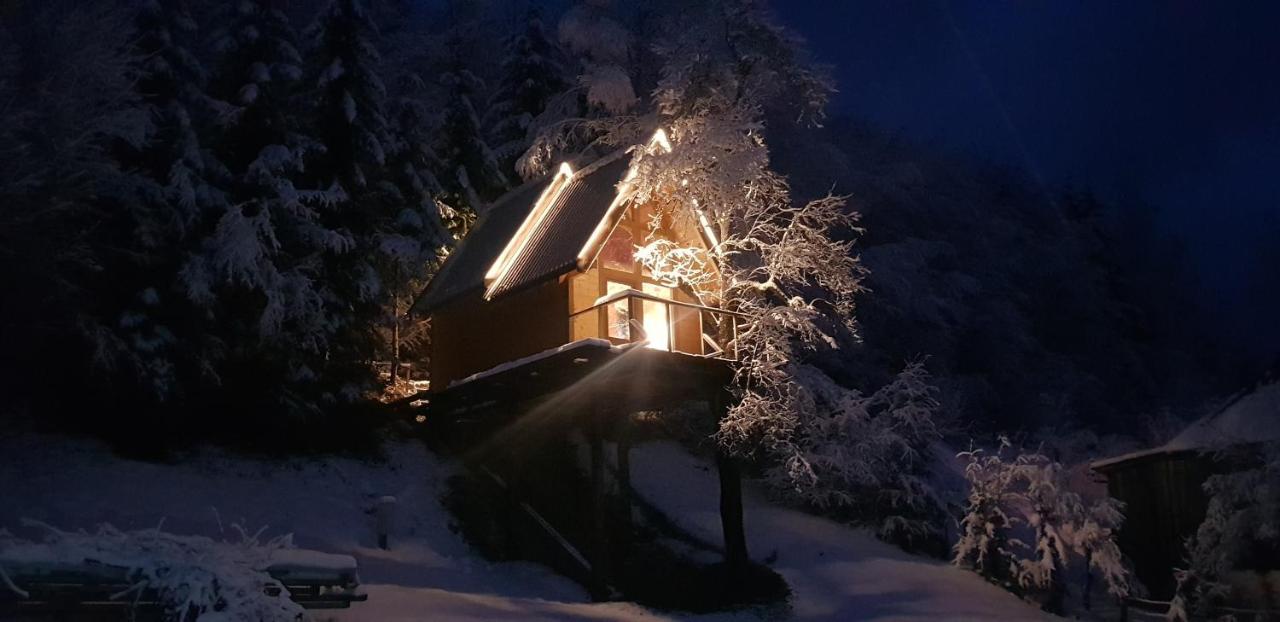 Tree House - Tara Place モイコヴァツ エクステリア 写真