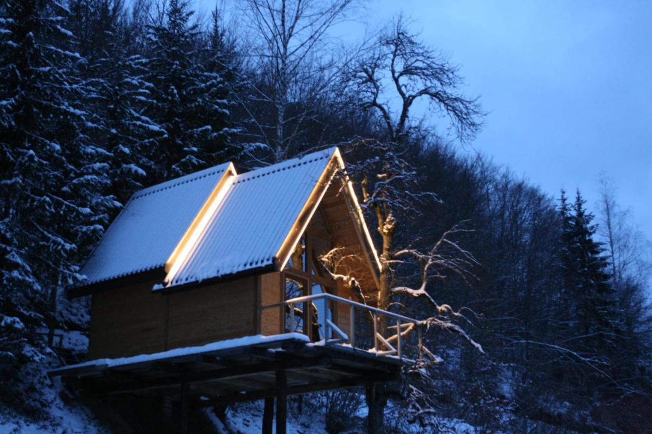 Tree House - Tara Place モイコヴァツ エクステリア 写真