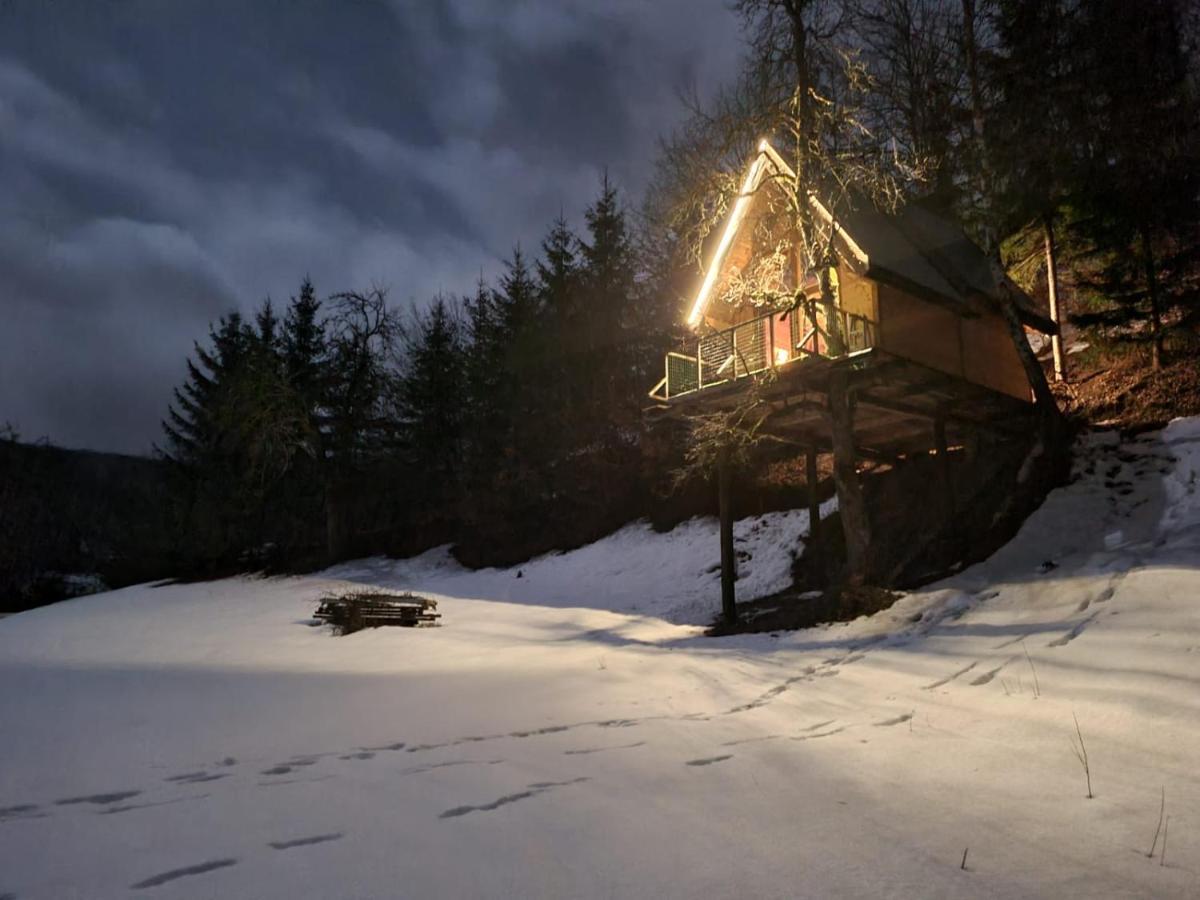 Tree House - Tara Place モイコヴァツ エクステリア 写真