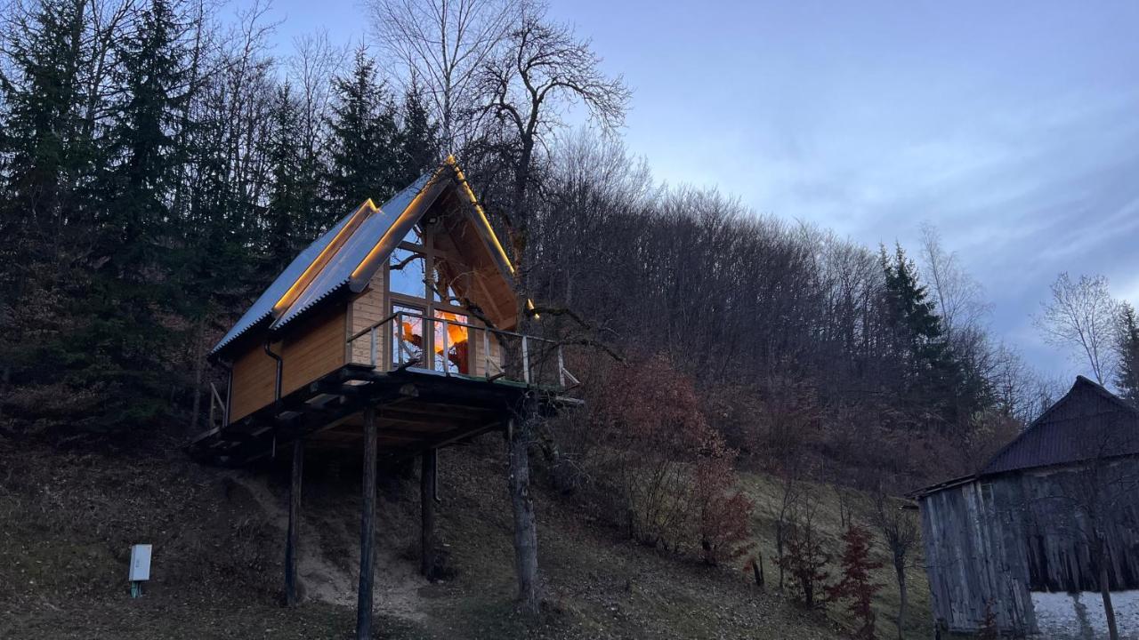 Tree House - Tara Place モイコヴァツ エクステリア 写真