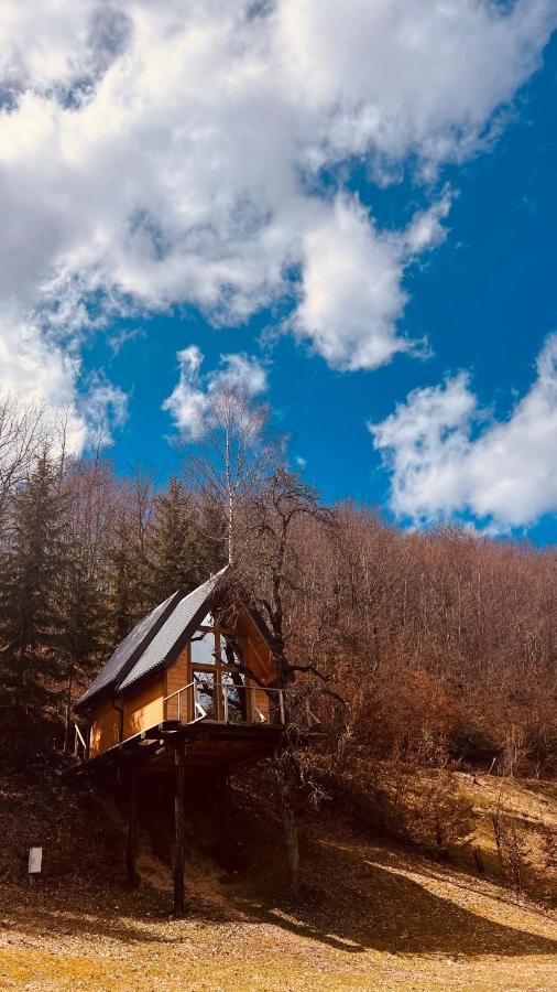 Tree House - Tara Place モイコヴァツ エクステリア 写真