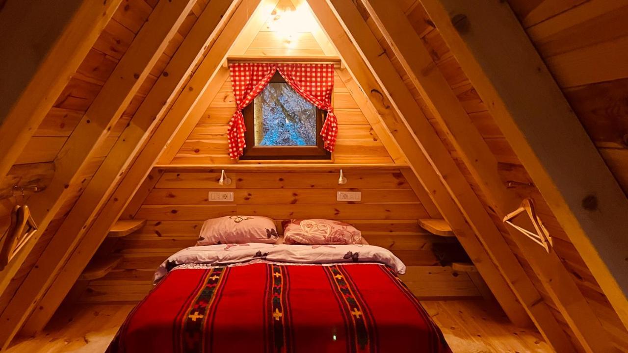 Tree House - Tara Place モイコヴァツ エクステリア 写真