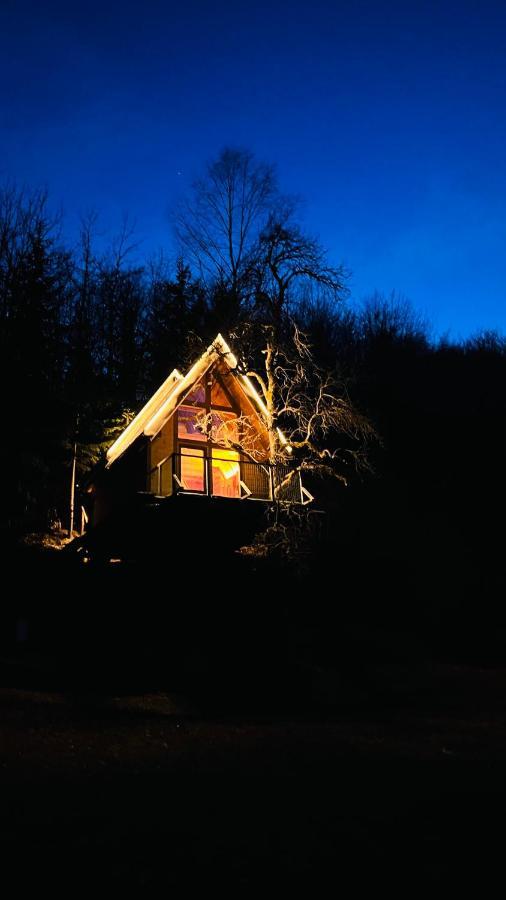 Tree House - Tara Place モイコヴァツ エクステリア 写真