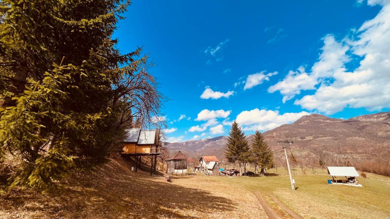 Tree House - Tara Place モイコヴァツ エクステリア 写真