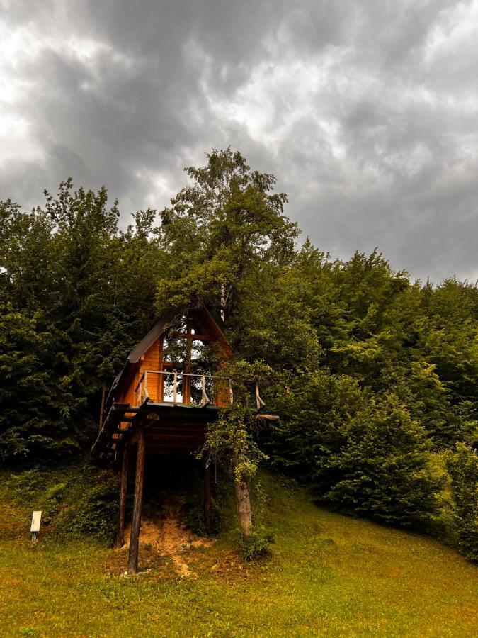 Tree House - Tara Place モイコヴァツ エクステリア 写真