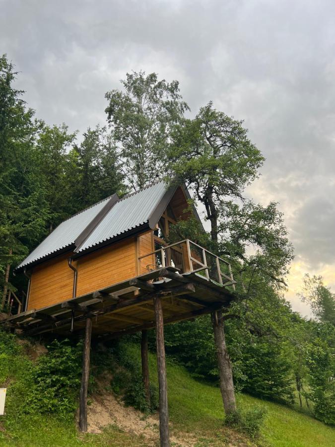 Tree House - Tara Place モイコヴァツ エクステリア 写真