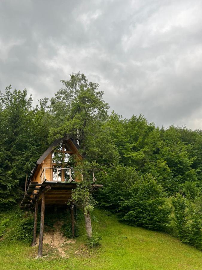 Tree House - Tara Place モイコヴァツ エクステリア 写真