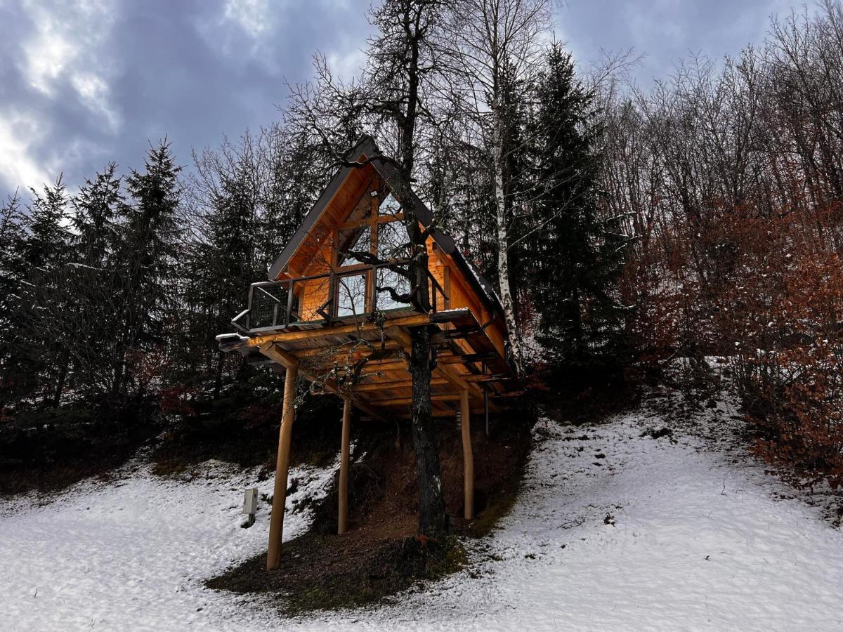 Tree House - Tara Place モイコヴァツ エクステリア 写真