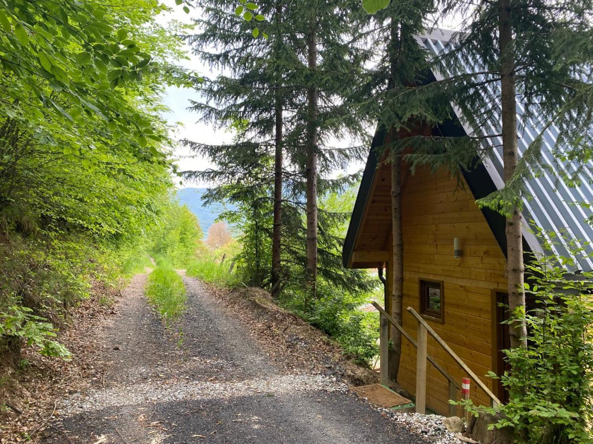 Tree House - Tara Place モイコヴァツ エクステリア 写真